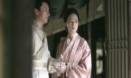 娘子嫁我为吃瓜免费版,免费版带你领略宫廷美食风云